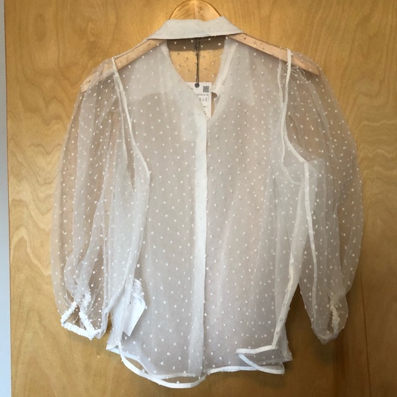 ZARA sheer dot top - Picture 7 of 7